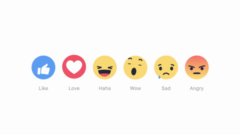 Facebook Reactions | Haley Marketing Group